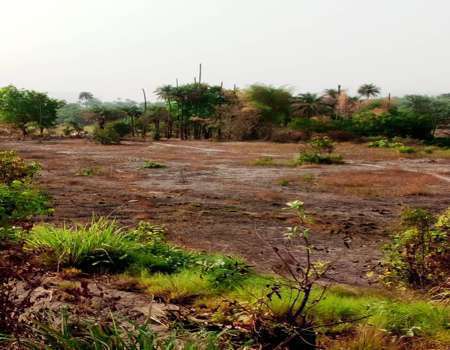 Terrain à vendre Kindia