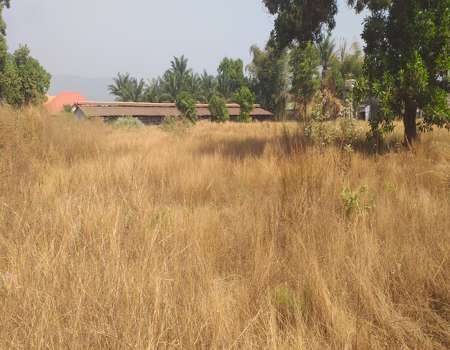 Terrain à vendre Dubréka