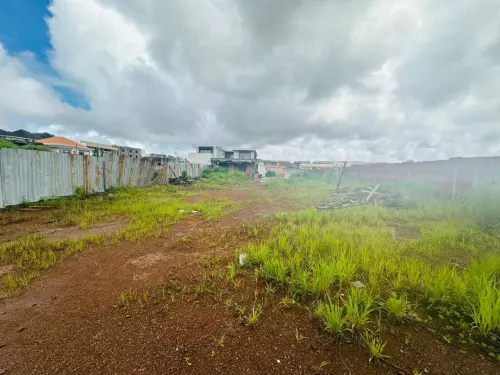 Terrain