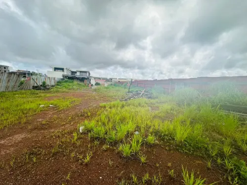 Terrain